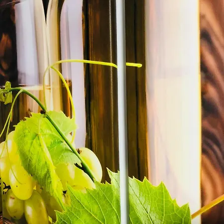 Ferienhaus Rino - Relax&vino